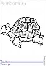 coloriage-tortue-2